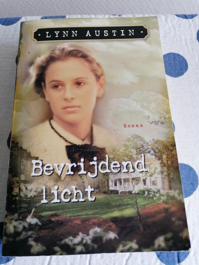 Lynn Austin - Bevrijdend licht, Boeken, Gelezen, Ophalen of Verzenden, Lynn Austin, Amerika