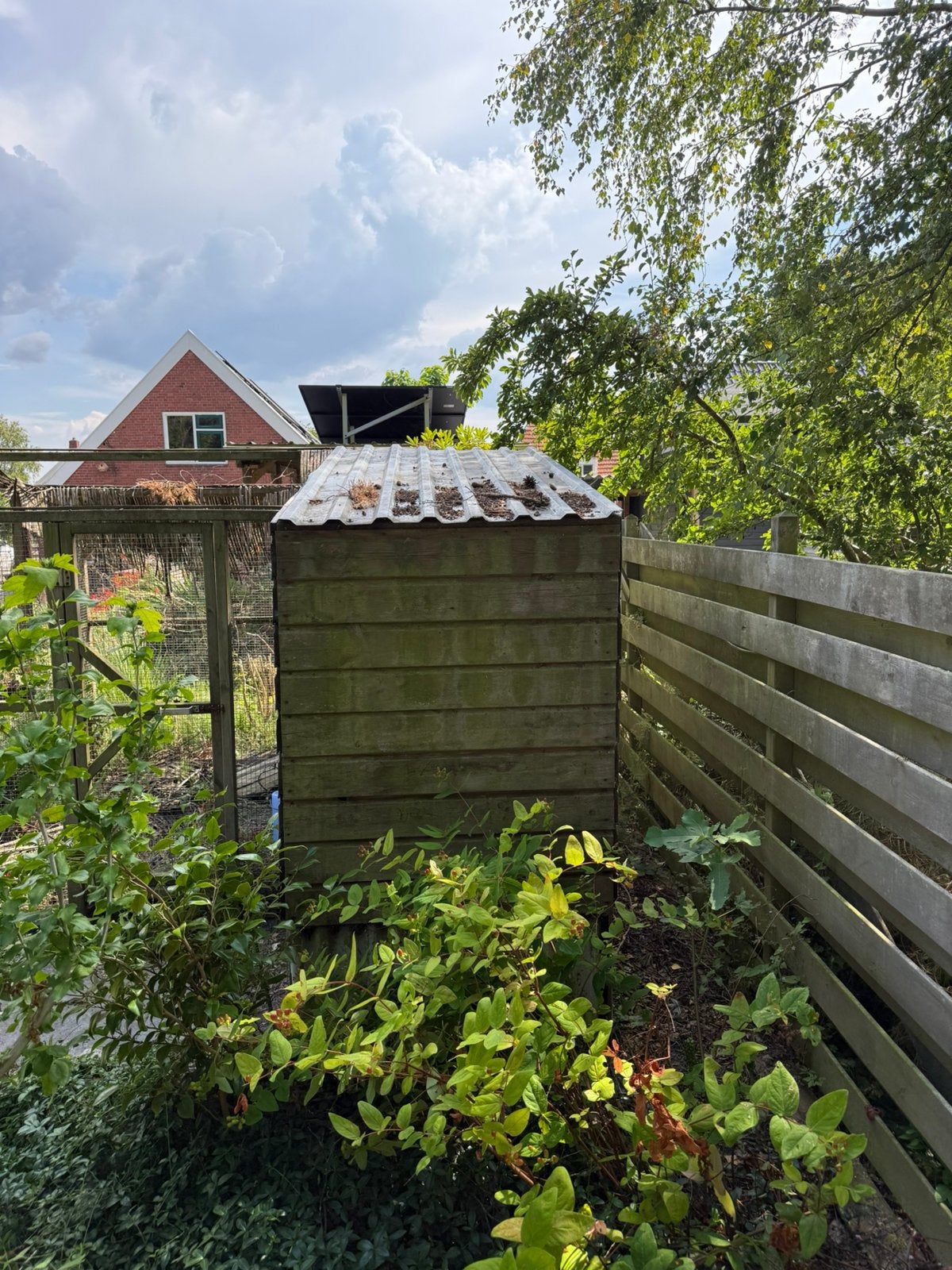 Konijnen hok kippenhok, Dieren en Toebehoren, Ophalen, Gebruikt, Kippenhok of Kippenren