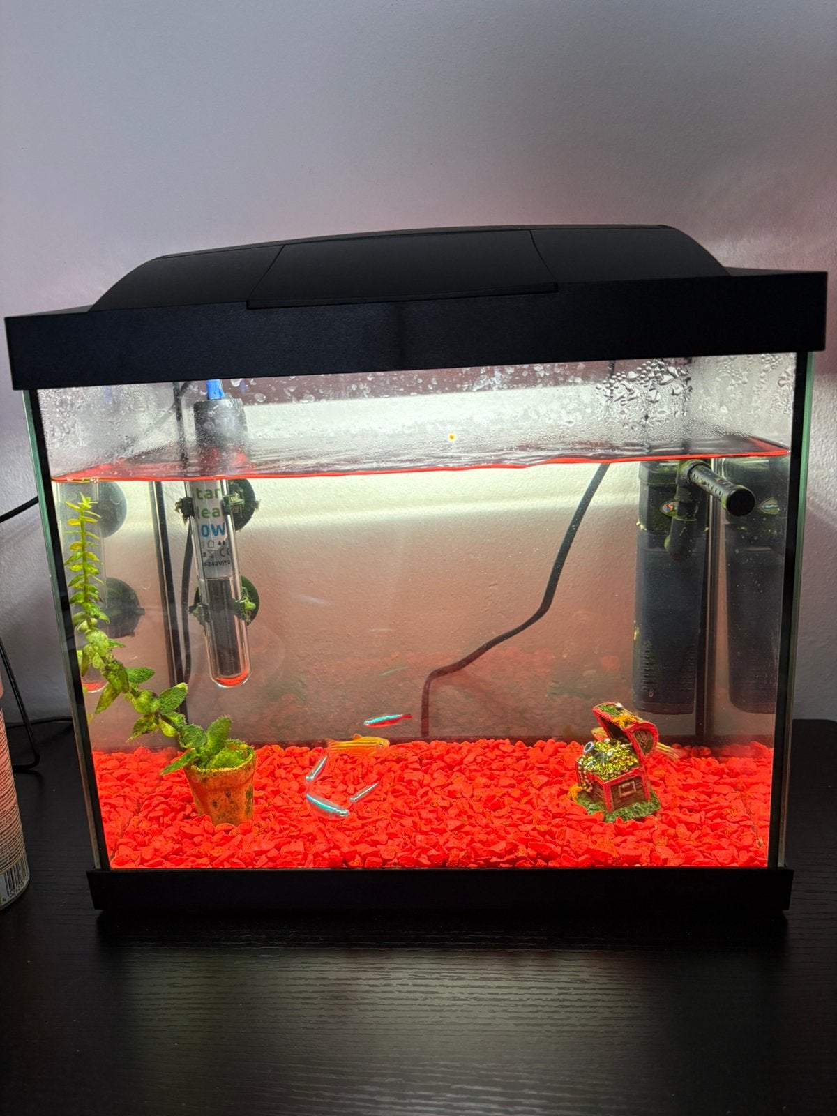 Aquarium en visjes, Ophalen, Zo goed als nieuw