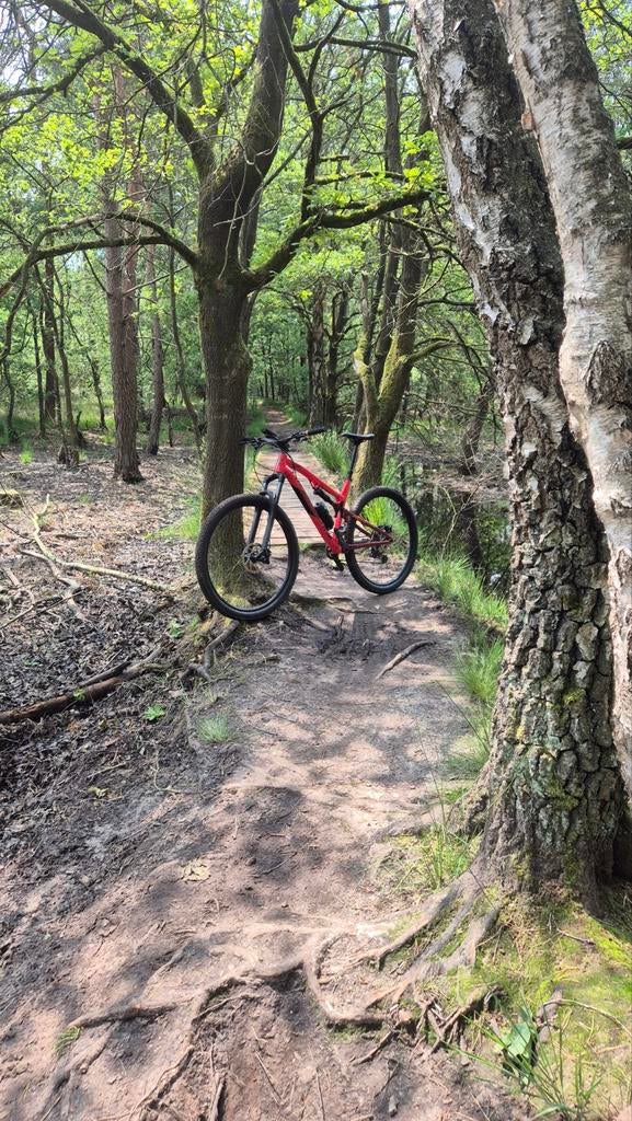 Rock Machine Blizzard XCM 30–29 Full Suspension L, Fietsen en Brommers, Overige merken, Gebruikt, Ophalen of Verzenden, Heren
