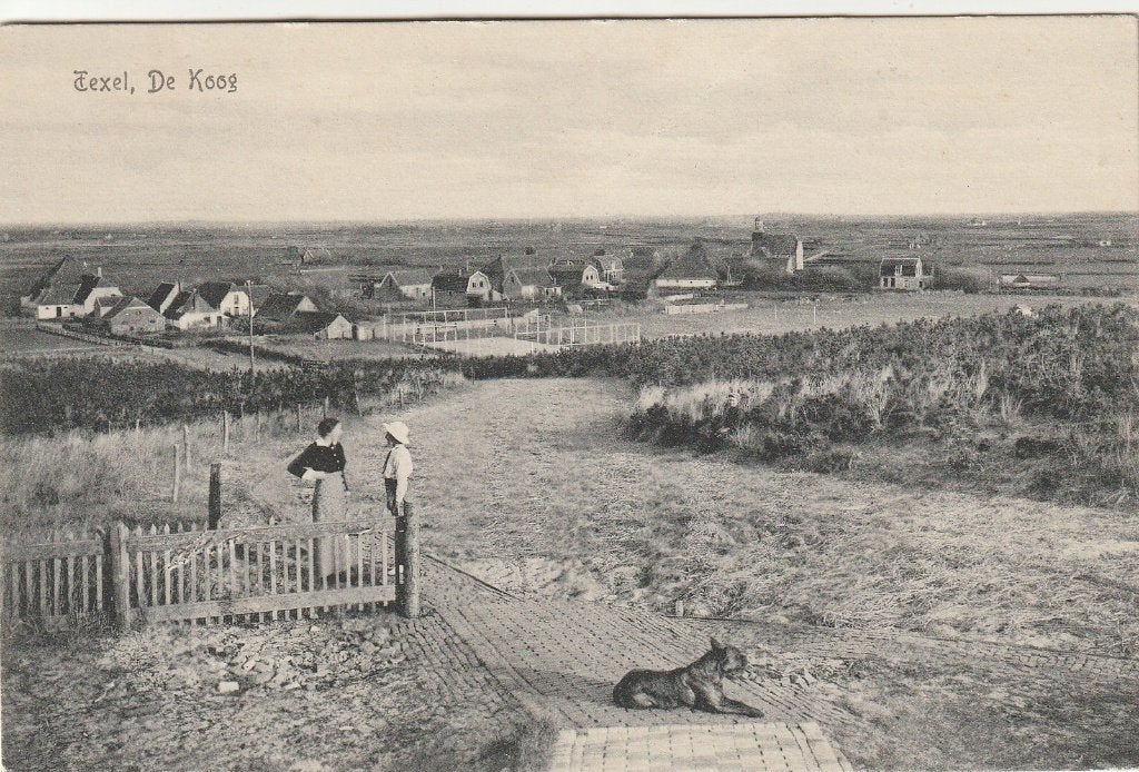 Texel De Koog, Ophalen of Verzenden, Ongelopen, Waddeneilanden