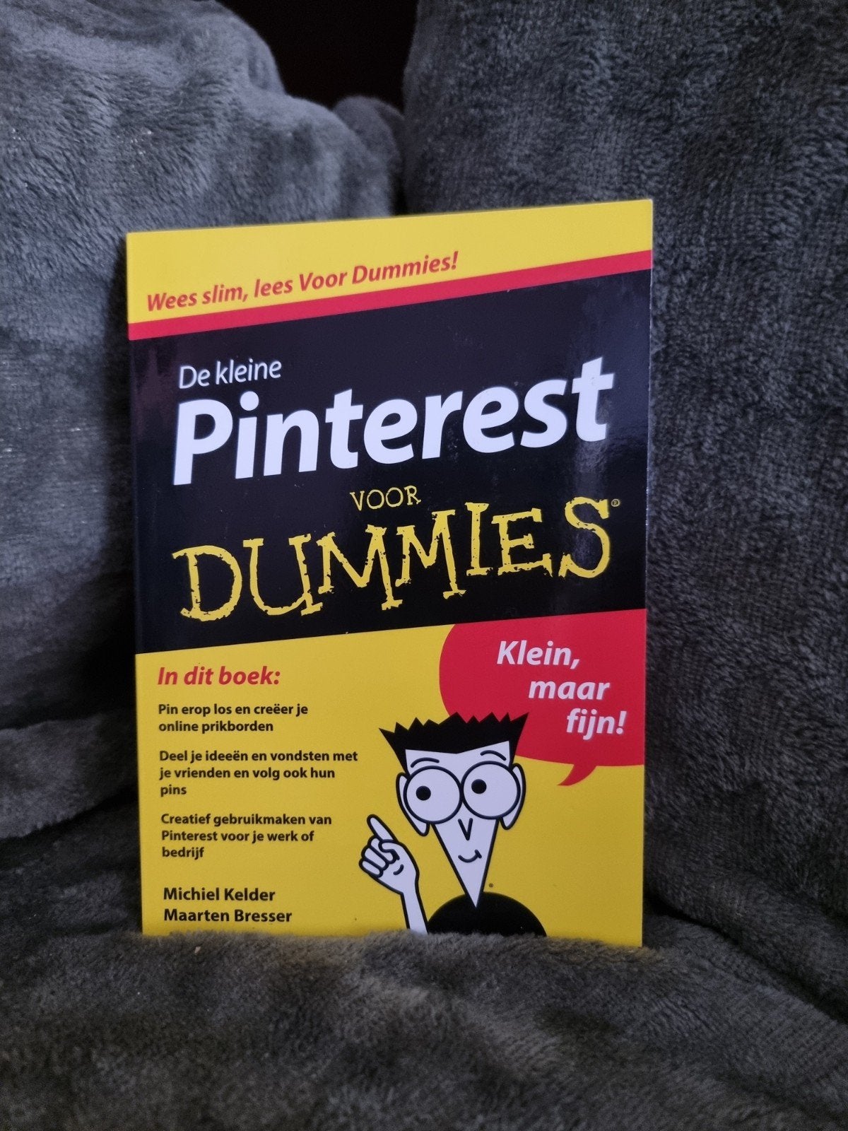 De kleine Pinterest voor Dummies - Leer Pinterest gebruiken, Boeken, Ophalen, Zo goed als nieuw, Internet of Webdesign, Michiel Kelder, Maarten Bresser