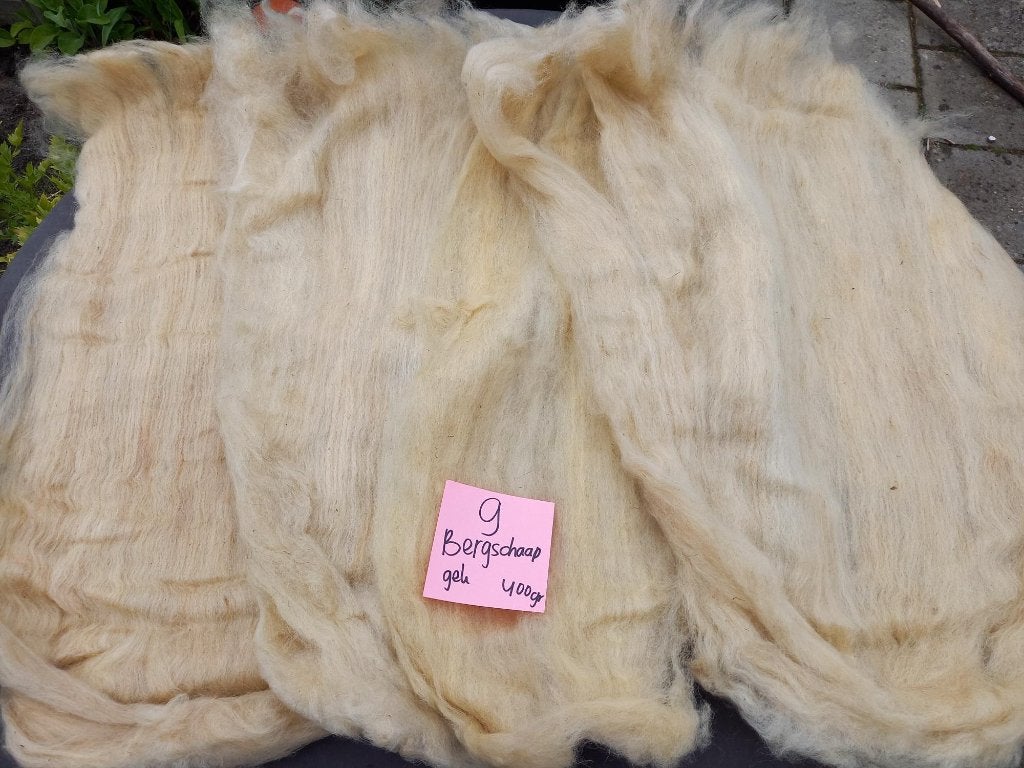nr 9 Gekaarde ongewassen Bergschaap wol - kaardvlies 400gr, Ophalen of Verzenden, Gebruikt