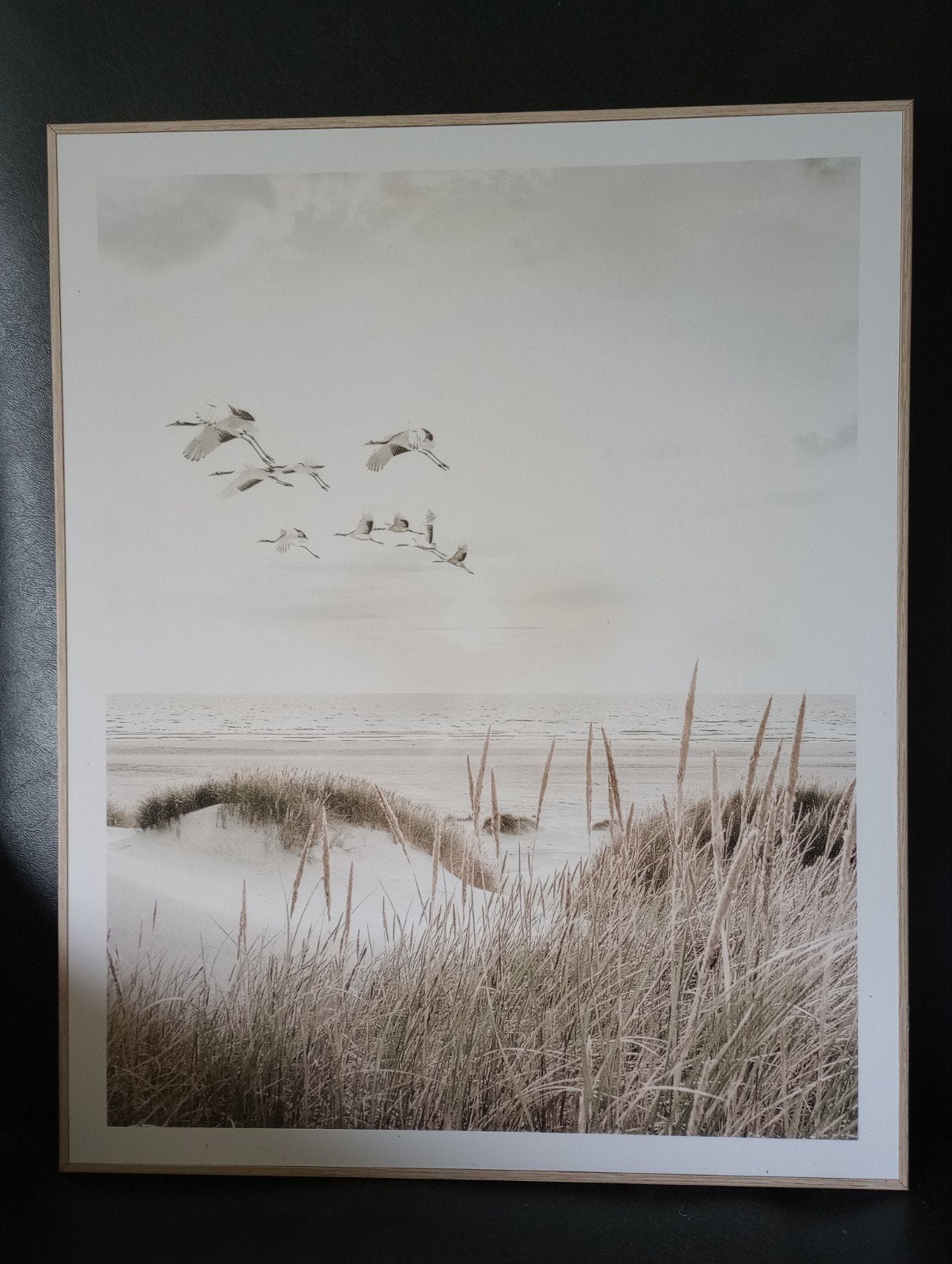 Poster met lijst, Ophalen, Schilderij, Minder dan 50 cm