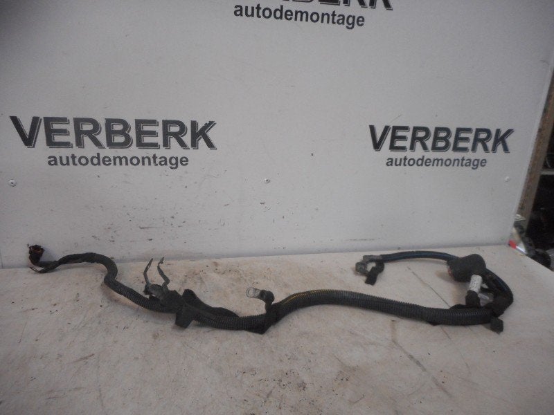 Kabelboom Opel Astra G (F07) (2000-09/2005-03) 09174137, Auto-onderdelen, Elektronica en Kabels, Gebruikt, Bahnhofsplatz, Rüsselsheim am Main 65423, , Duitsland