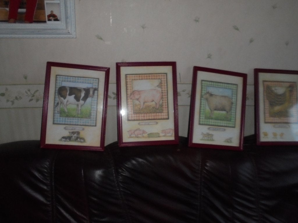 prachtige dieren schilderijtjes, Ophalen of Verzenden