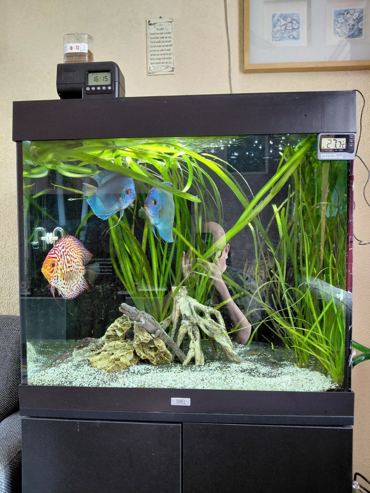 Aquarium compleet, Ophalen, Gebruikt, Overige typen