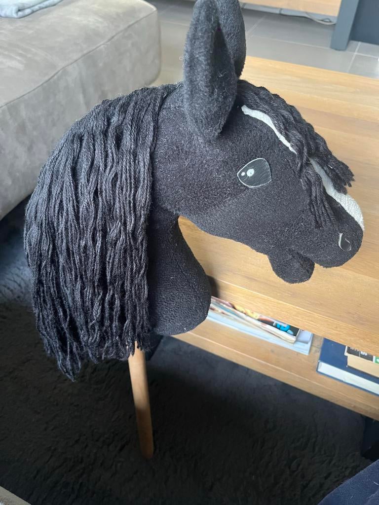 Hobby horse, Ophalen of Verzenden, Gebruikt, Jongen of Meisje