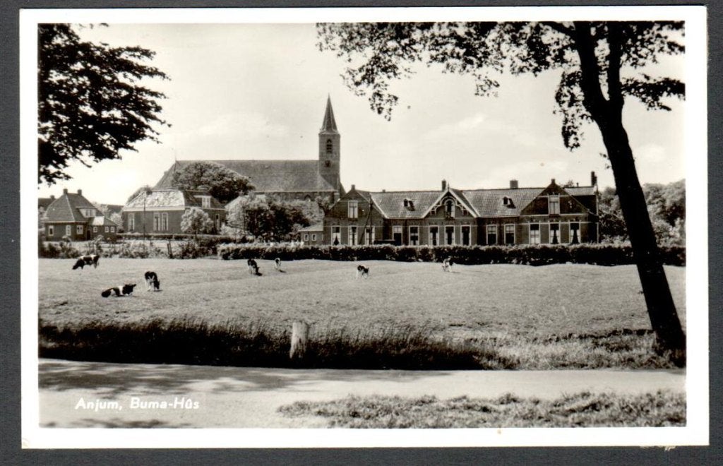 Oude ansicht - Anjum - Buma-Hus -1940-1960 - Frl., Verzamelen, Ansichtkaarten | Nederland, Ophalen of Verzenden, 1940 tot 1960