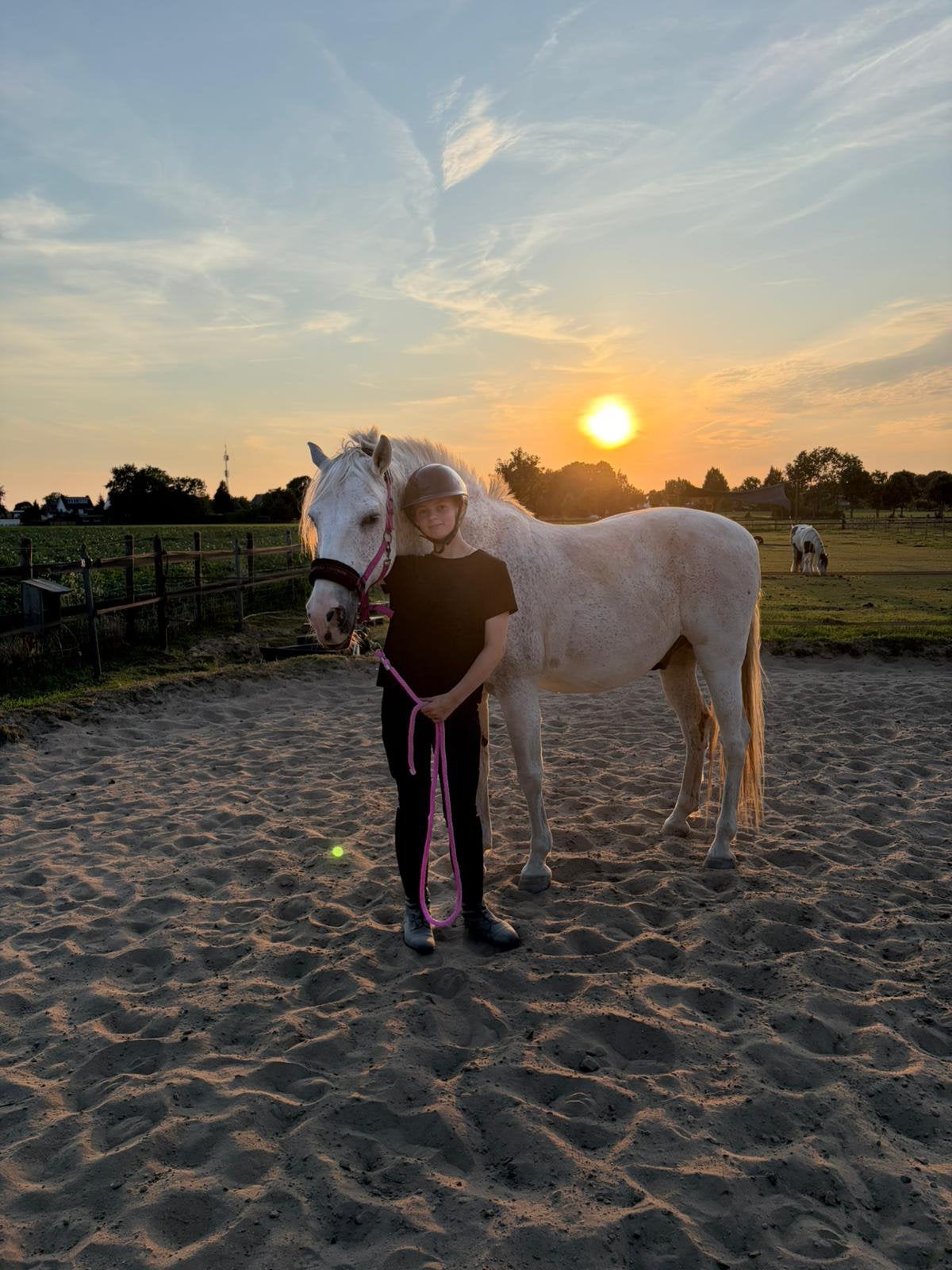 Verzorgpaard/leasepaard gezocht!, Ophalen of Verzenden