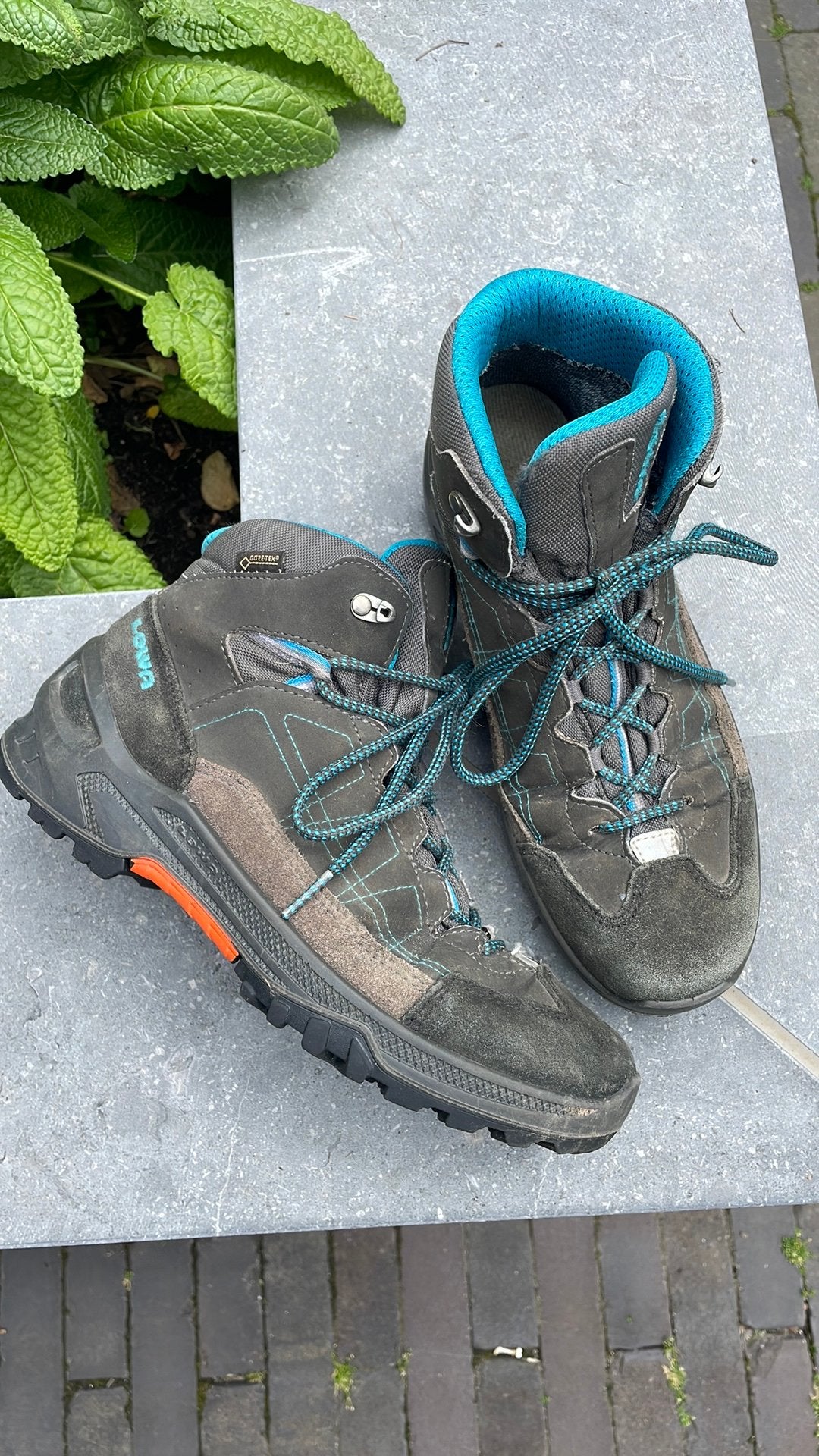 Wandelschoenen Lowa junior maat 38, Sport en Fitness, Bergsport en Wandelen, Ophalen of Verzenden, Gebruikt, Schoenen