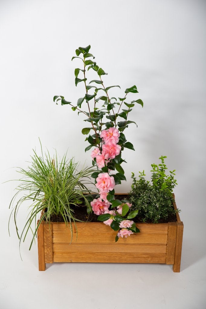 Houten Bloembakken met Voering - Ideaal voor Tuin & Balkon, Tuin en Terras, Bloembakken en Plantenbakken, Ophalen, Minder dan 30 cm