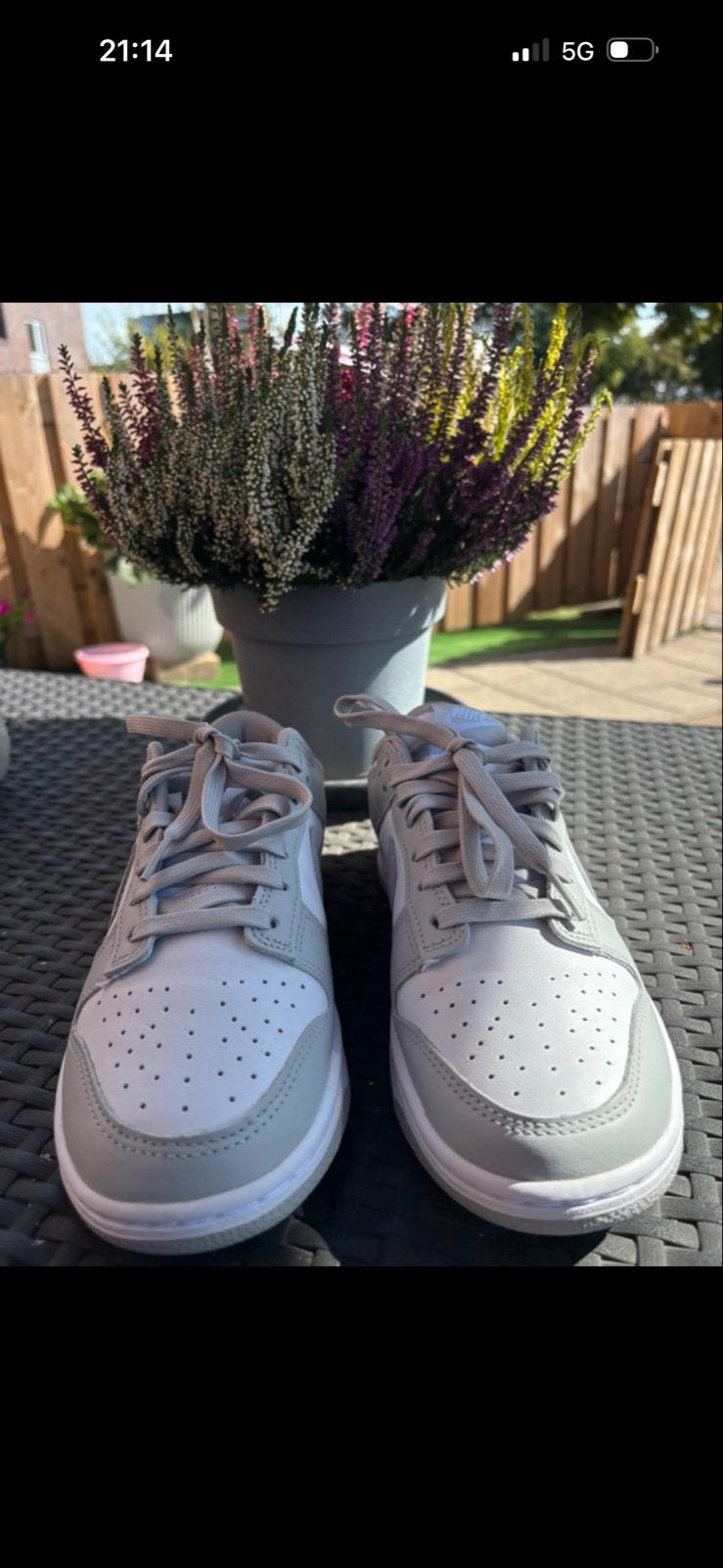 Nike Dunks Maat 40 - Zo goed als nieuw, Ophalen of Verzenden, Zo goed als nieuw, Grijs, Sneakers of Gympen