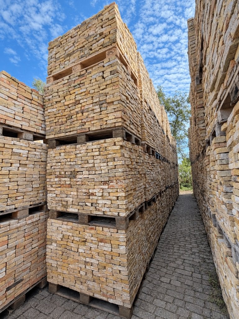 Friese geeltjes / boeren geeltjes +400.000 stuks op voorraad