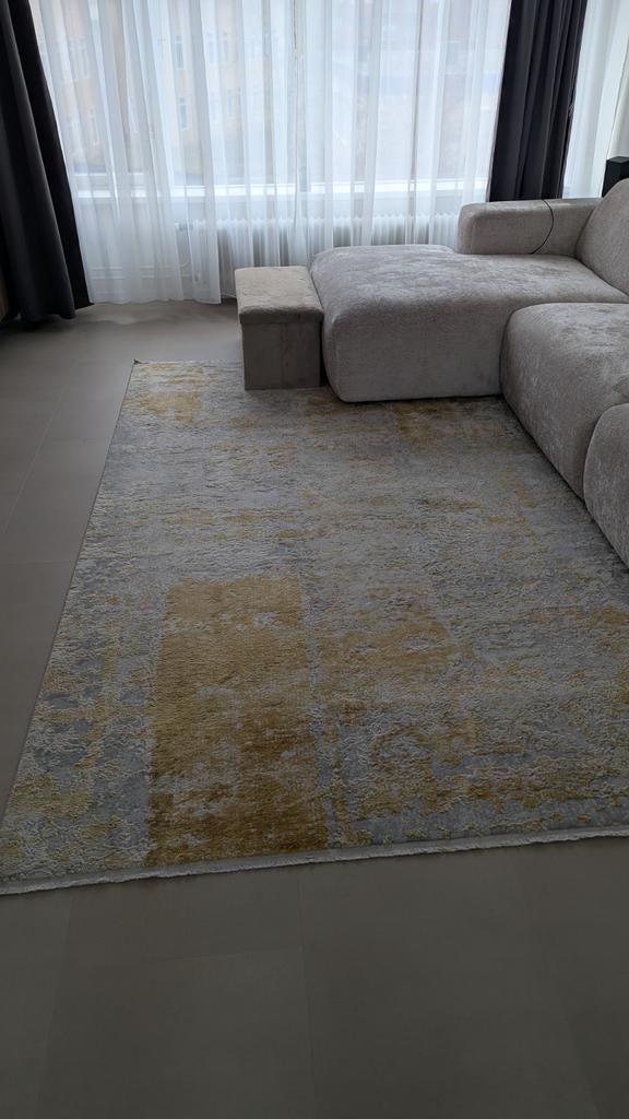 Vloerkleed Luxia 290x200 cm, Ophalen, 200 cm of meer, Zo goed als nieuw, 200 cm of meer