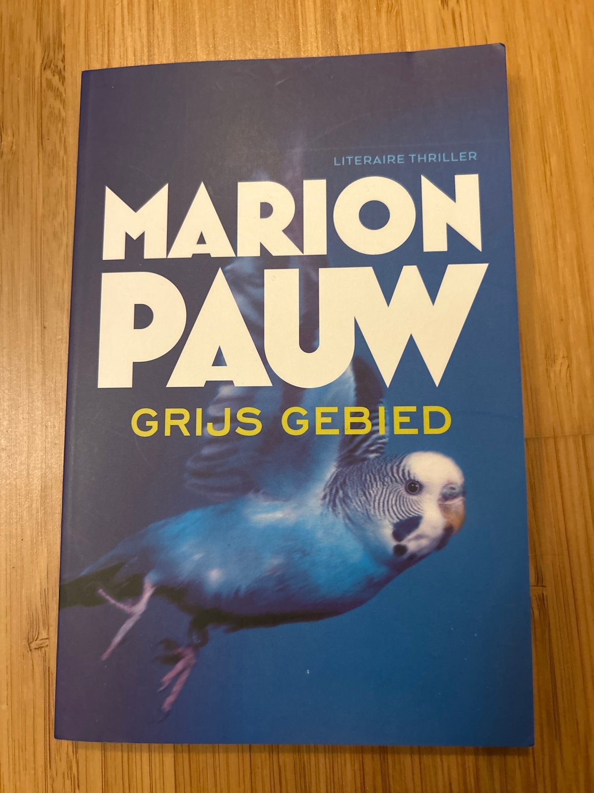 Grijs Gebied - Marion Pauw (Literaire thriller), Ophalen of Verzenden, Gelezen