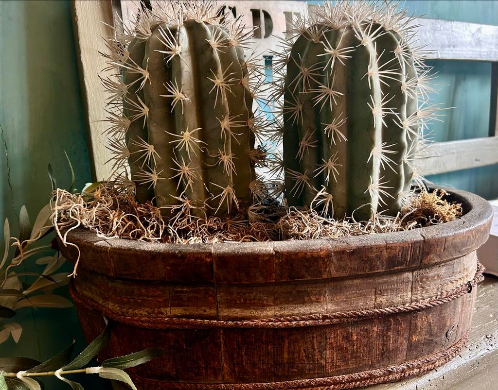 Oude ovale olijfbak met of zonder 2 kunst cactussen, Ophalen of Verzenden, Gebruikt, Binnen
