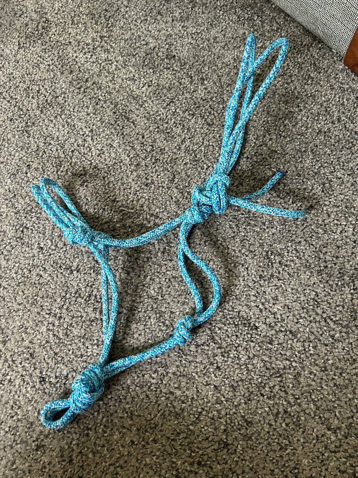 Blauw touwhalster maat mini shet, Dieren en Toebehoren, Ophalen of Verzenden, Nieuw