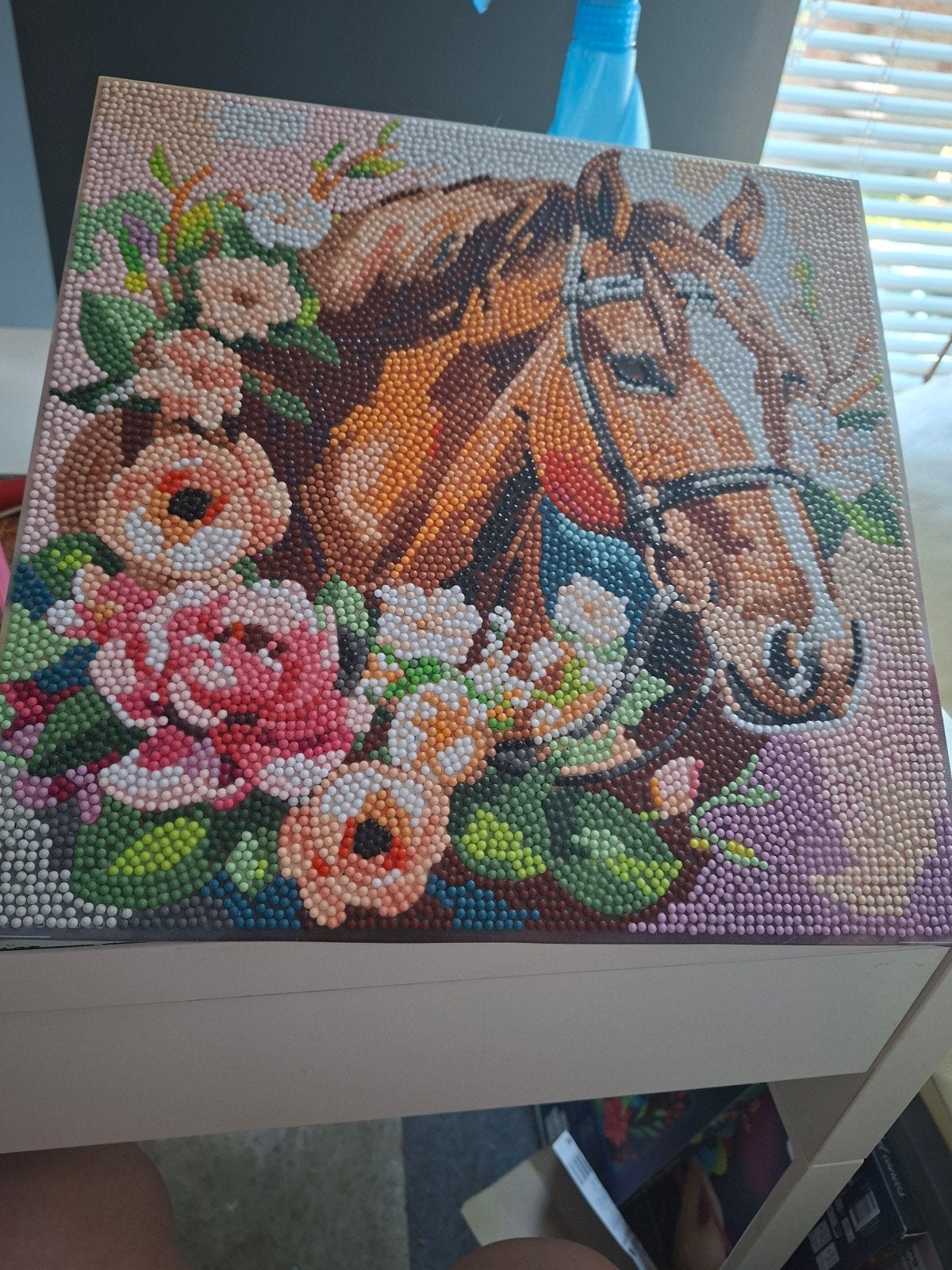 diamond paard, Hobby en Vrije tijd, Ophalen, Zo goed als nieuw, Knutselwerk