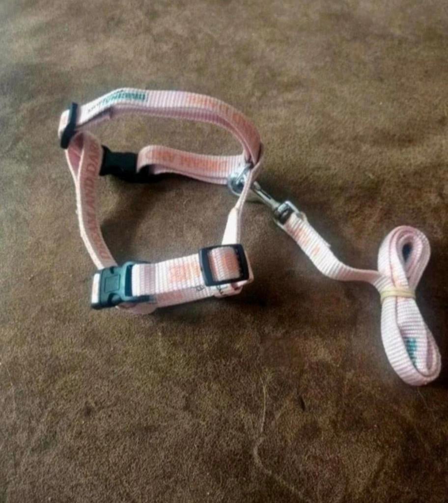 NIEUW Stevig Licht Roze Katten tuig maat verstelbaar + Riem, Ophalen of Verzenden, Nieuw