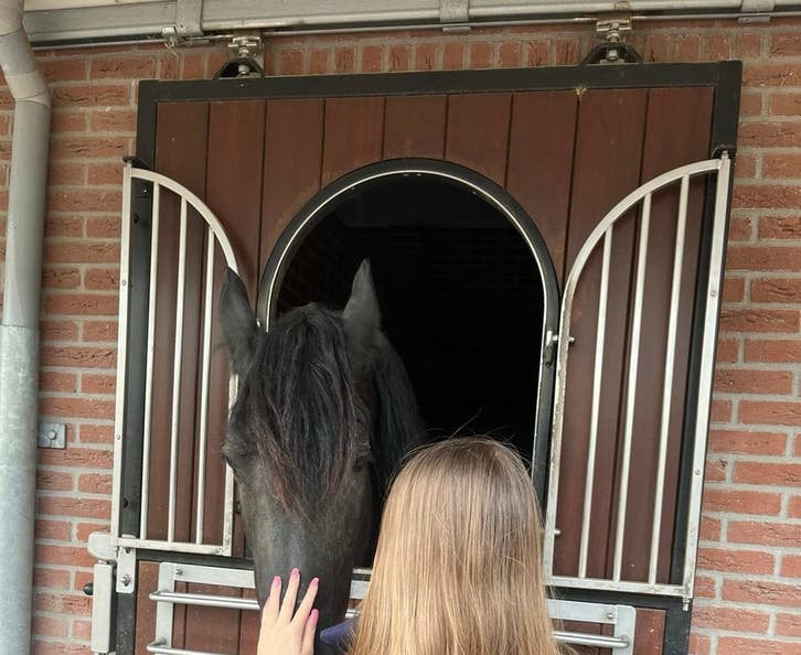 Hulp gezocht voor als u op vakantie wilt.🐴