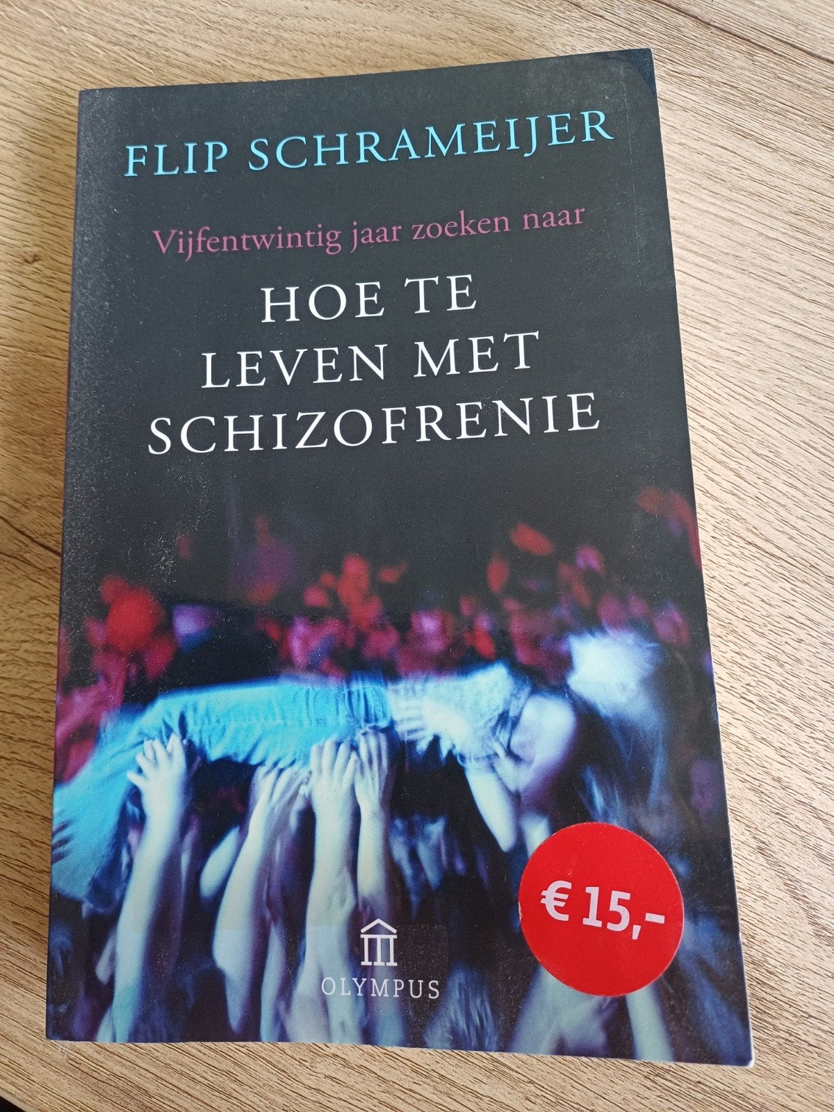 Hoe te leven met schizofrenie - Flip Schrameijer (Nieuw), Ophalen of Verzenden