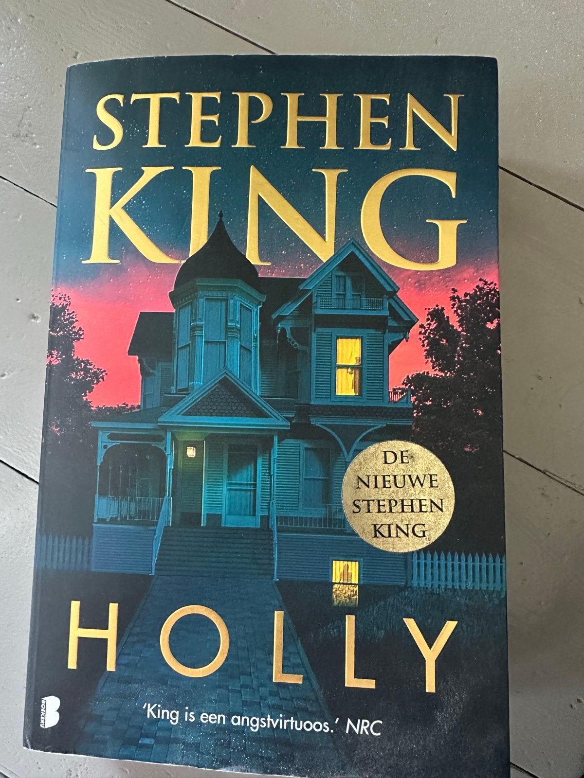 Stephen King - Holly (Zo goed als nieuw), Ophalen of Verzenden, Zo goed als nieuw