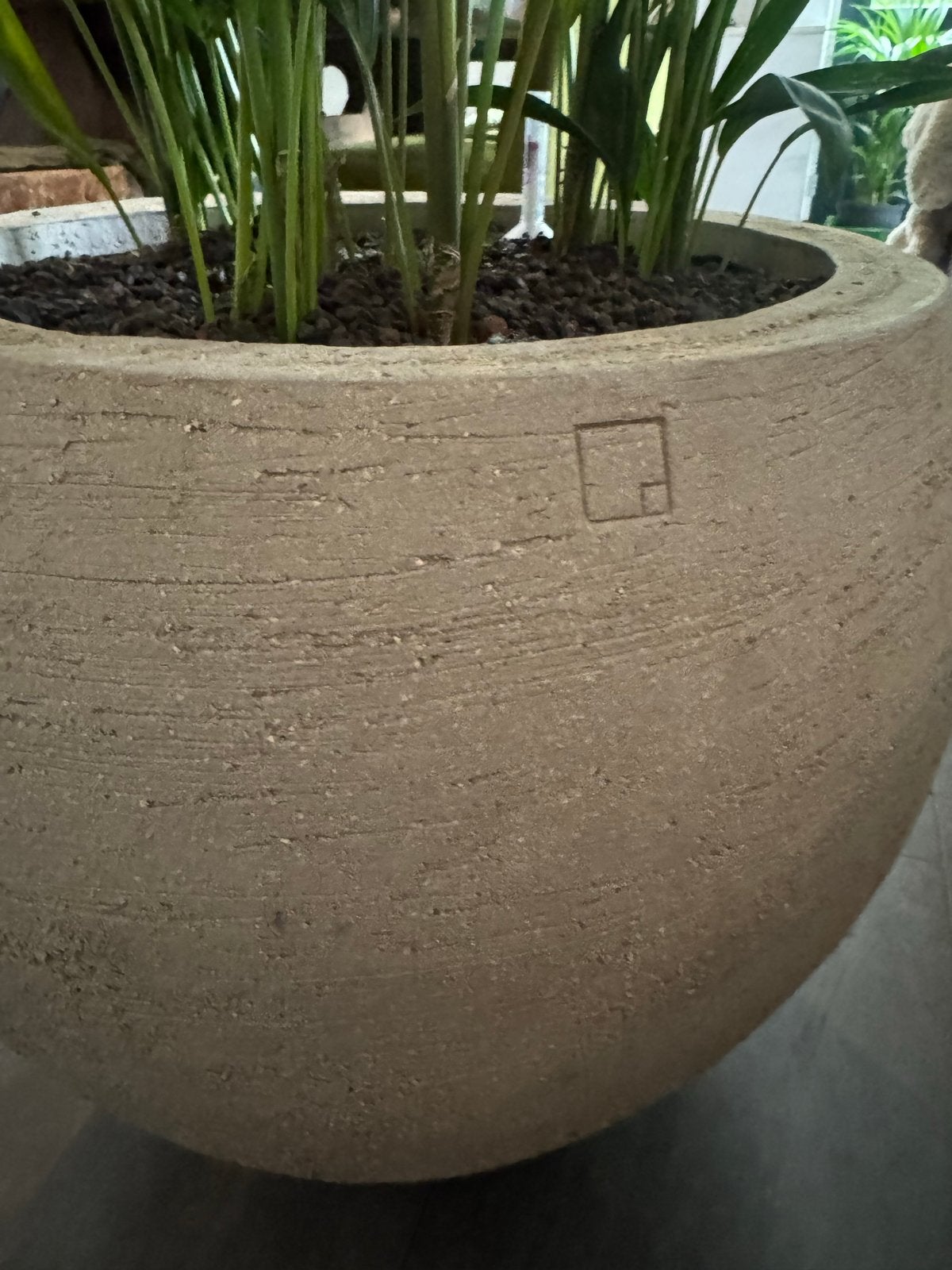 Exclusieve natuursteen bak met Kentia Howea (hydrocultuur), Ophalen, Nieuw, Beige, Steen/keramiek