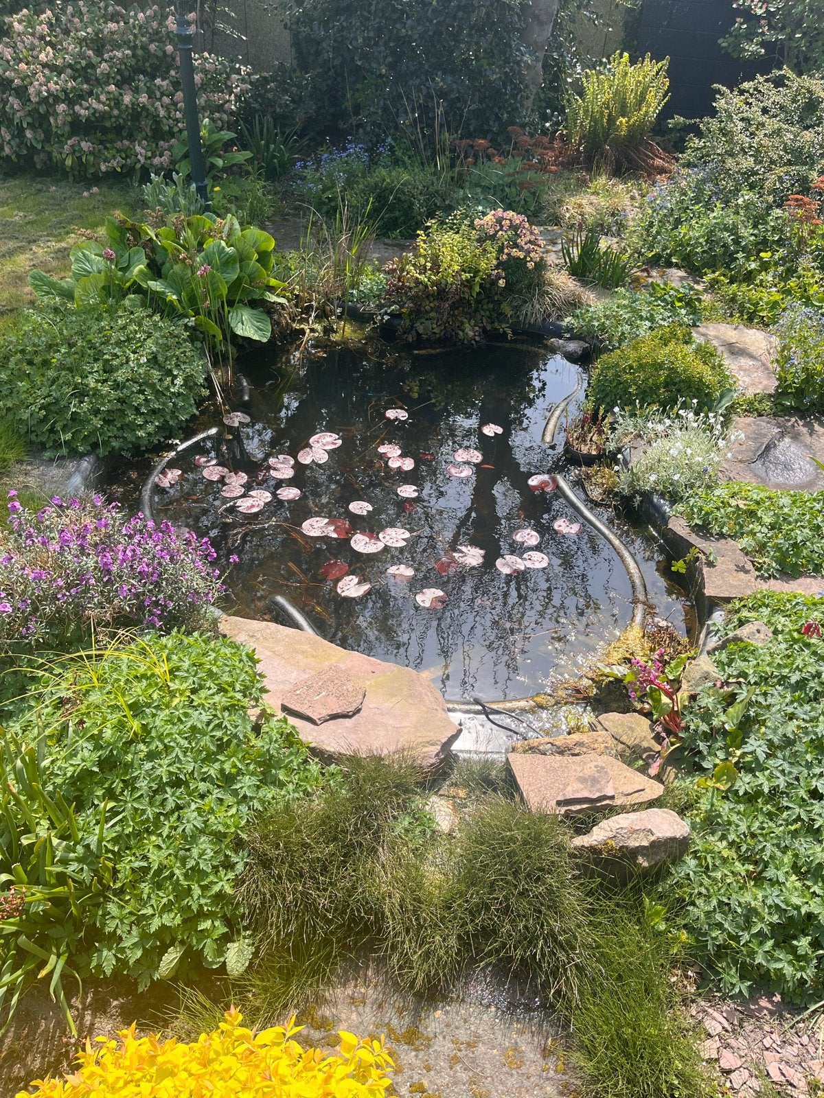 Vijverbak eventueel met waterlelies en beplanting, Tuin en Terras, Ophalen, Gebruikt
