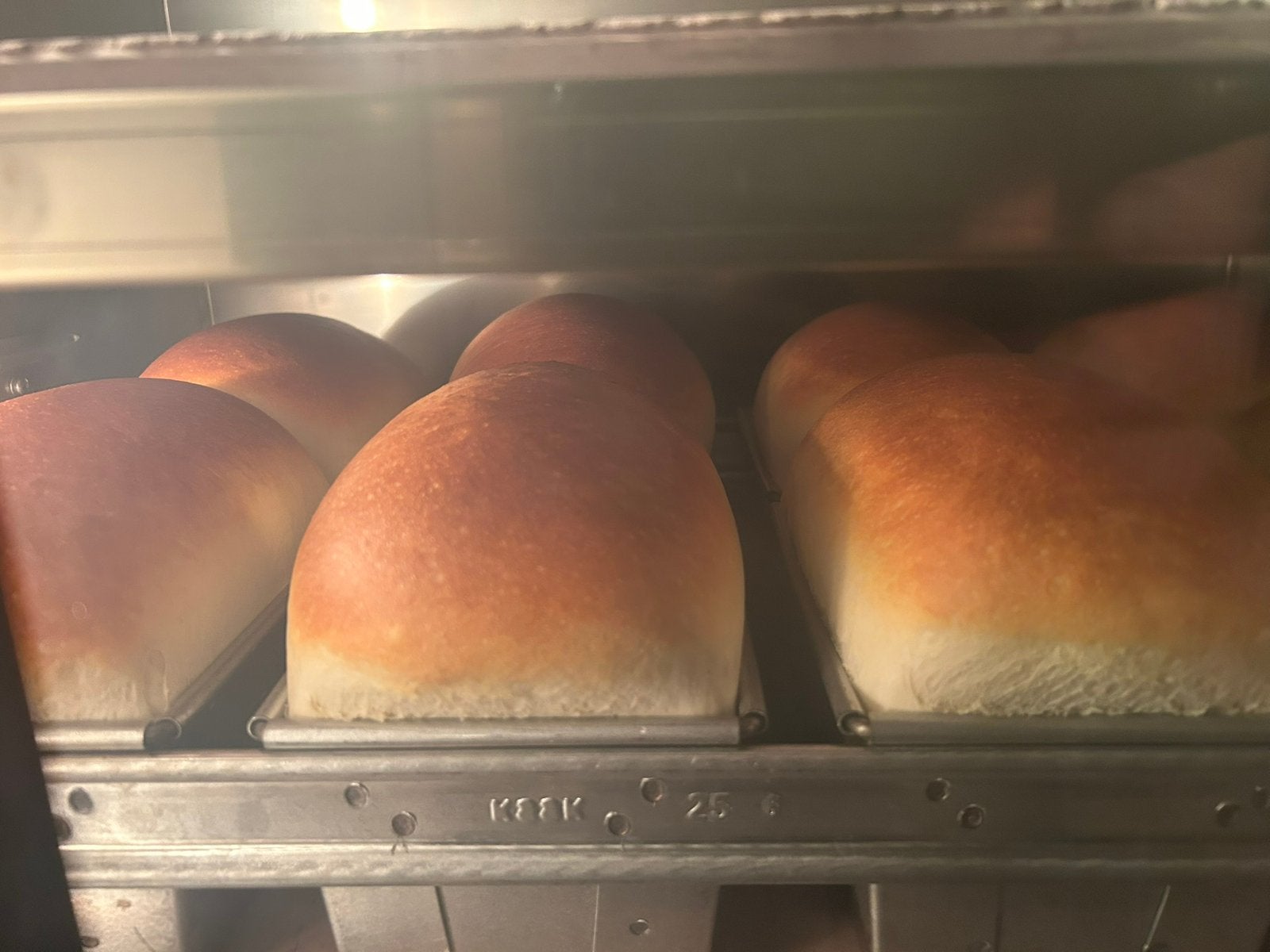 Xavis BakeChef stenenvloeroven met stoom | 230V, Ophalen, 45 tot 50 cm, Overige merken, Oven