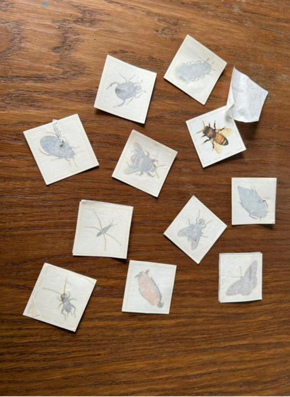 Albert Heijn Insecten Tattoos, Albert Heijn, Ophalen of Verzenden