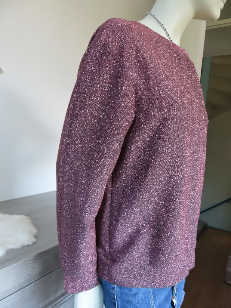 H&M Glinsterend Bordeuaxrood/Aubergine Truitje met Bij  S, H&M, Paars, Ophalen of Verzenden, Zo goed als nieuw
