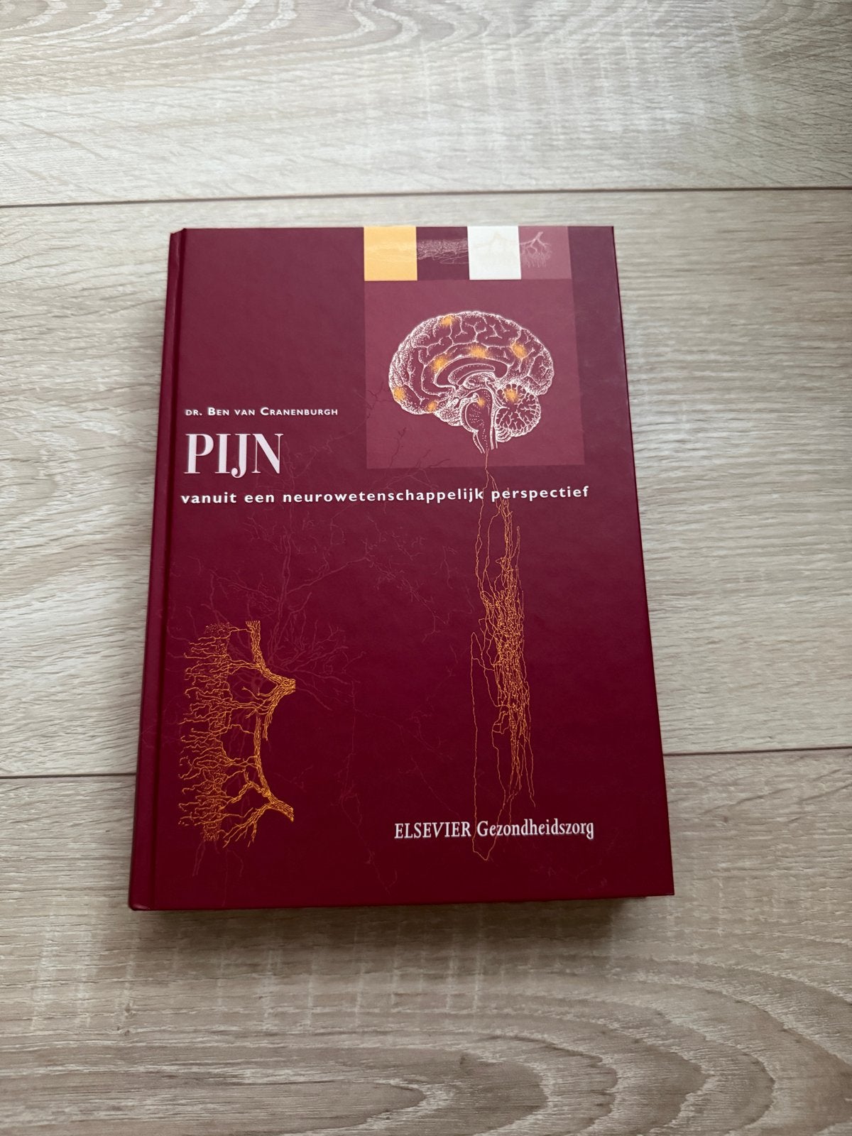 Boek Pijn: vanuit een neurowetenschappelijk perspectief, Ophalen of Verzenden, Zo goed als nieuw, Gezondheid en Conditie