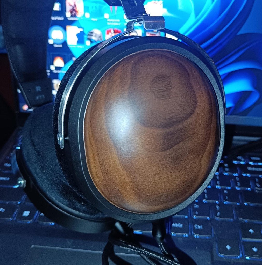 FIIO FT1, Ophalen of Verzenden, Zo goed als nieuw, Overige kleuren, Overige merken