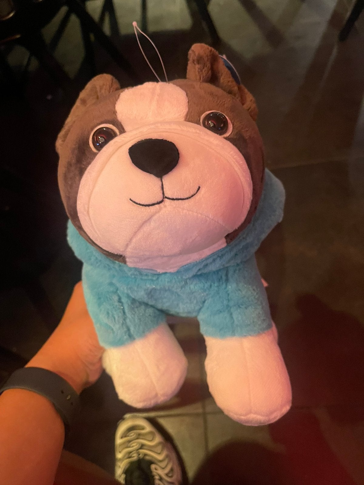 Hondje knuffel, Ophalen of Verzenden, Nieuw, Hond
