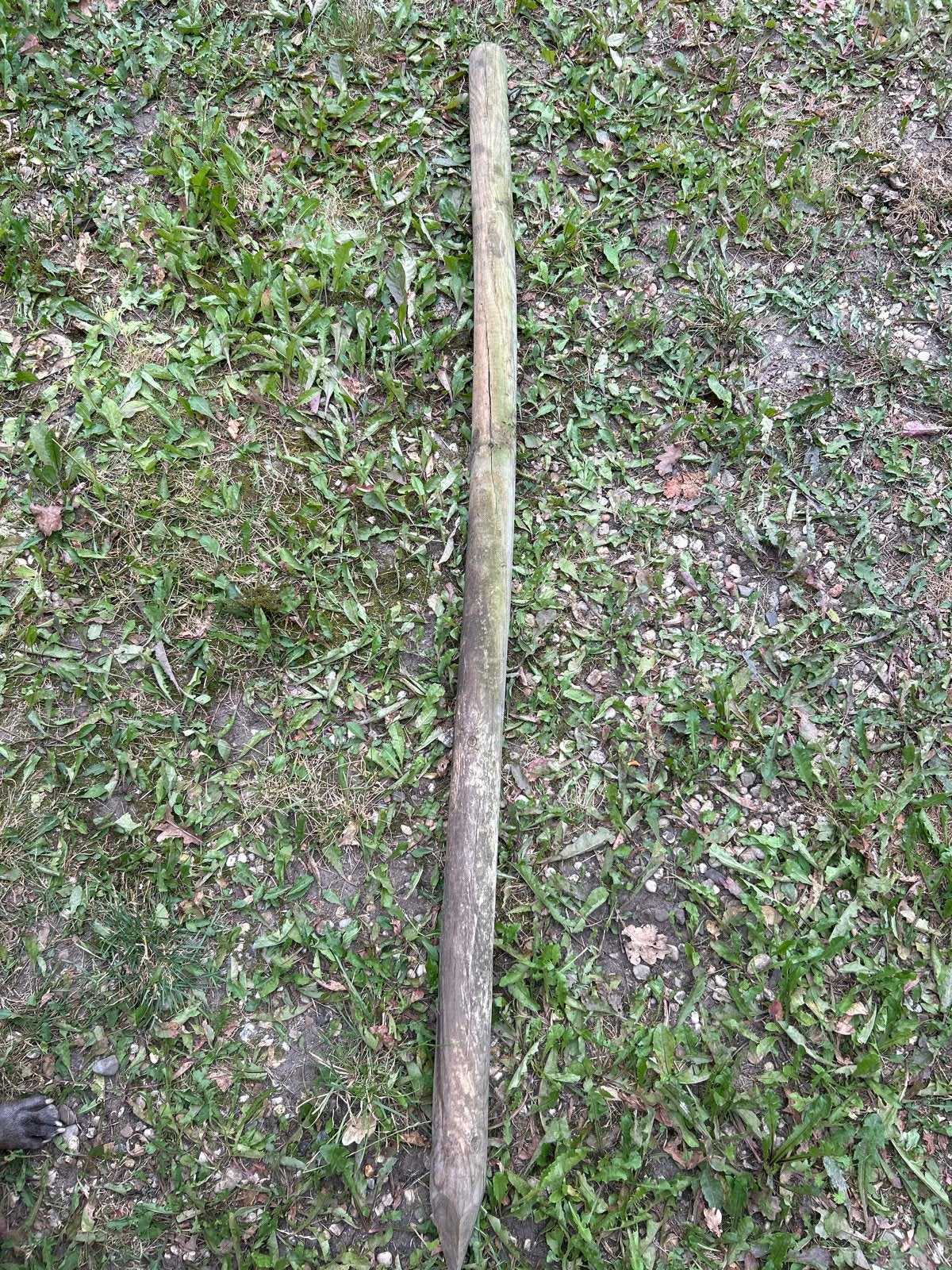 Tuinpalen 5x150 cm - 3 stuks, Ophalen, Gebruikt, Minder dan 180 cm, Palen