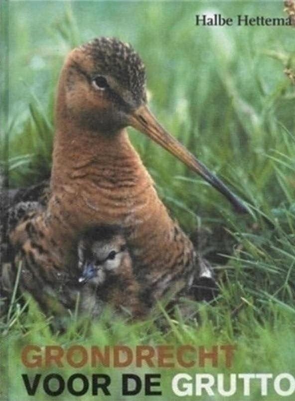 Halbe Hettema Grondrecht voor de grutto, Ophalen of Verzenden, Zo goed als nieuw, Vogels