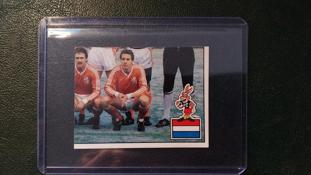 Panini Euro 88 Plaatje Nederland 210, Ophalen of Verzenden, Zo goed als nieuw, Sticker