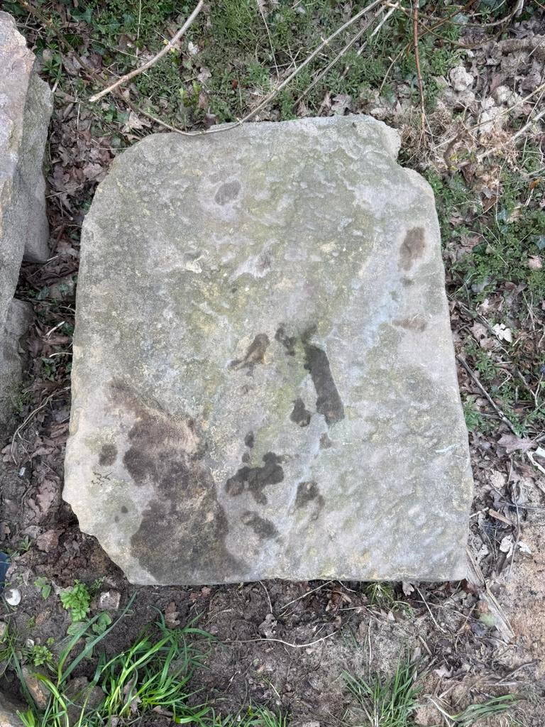Bentheimer zandsteen groot en zwaar 80x65x15, Tuin en Terras, Ophalen of Verzenden, Zo goed als nieuw