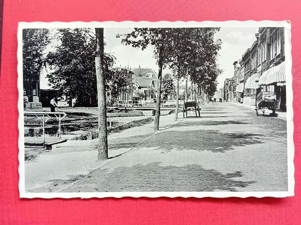 Ansichtkaart Boskoop, Ophalen of Verzenden, 1940 tot 1960, Zuid-Holland