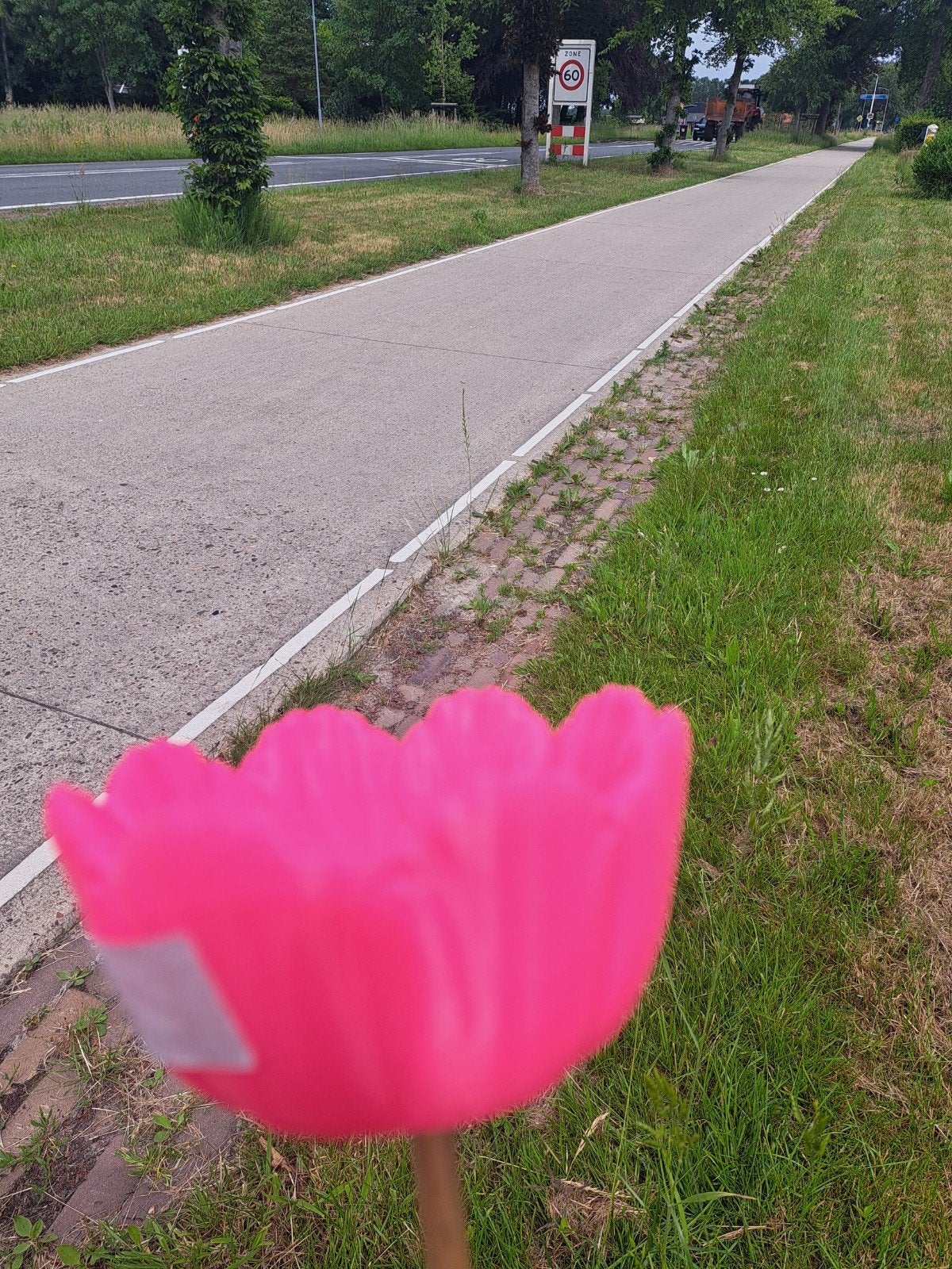Roze/blauw/paars/groen, Ophalen of Verzenden, Nieuw