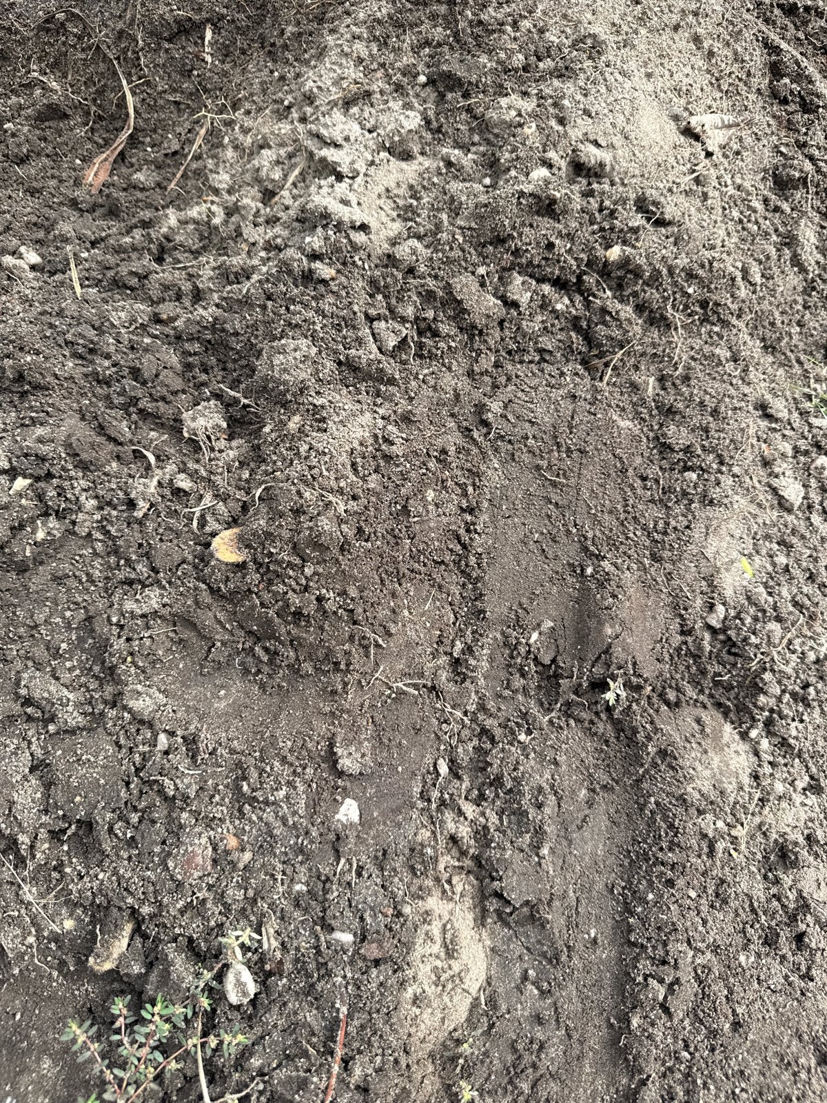 Zwart zand Gratis afhalen, Tuin en Terras, Zand, Ophalen, Gebruikt, Overige typen