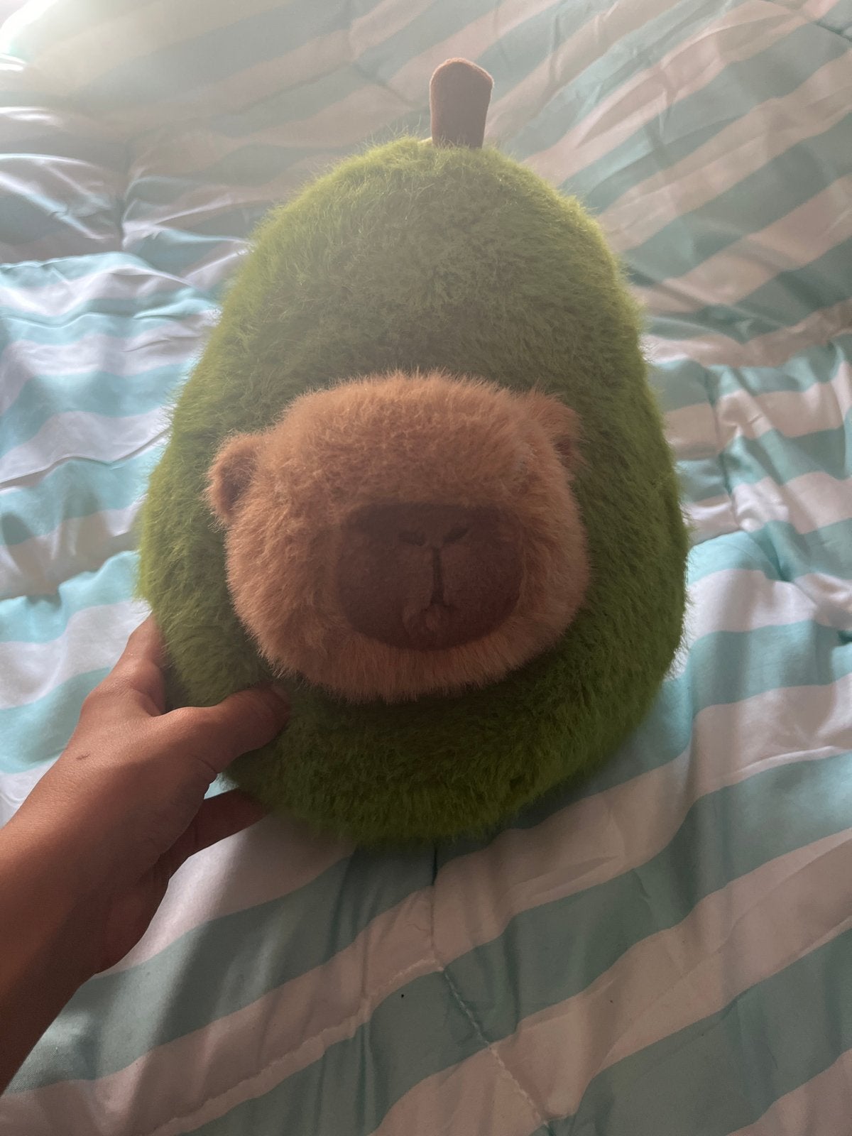 Capibara knuffel in peer - JaFri Toys, Groen, Overige merken, Overige karakters, Overige typen