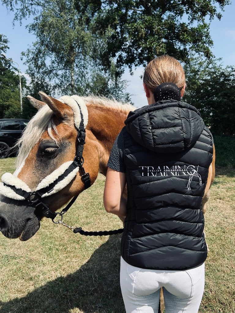 Instructeur aangeboden, Ophalen of Verzenden, Nieuw, Dressuur