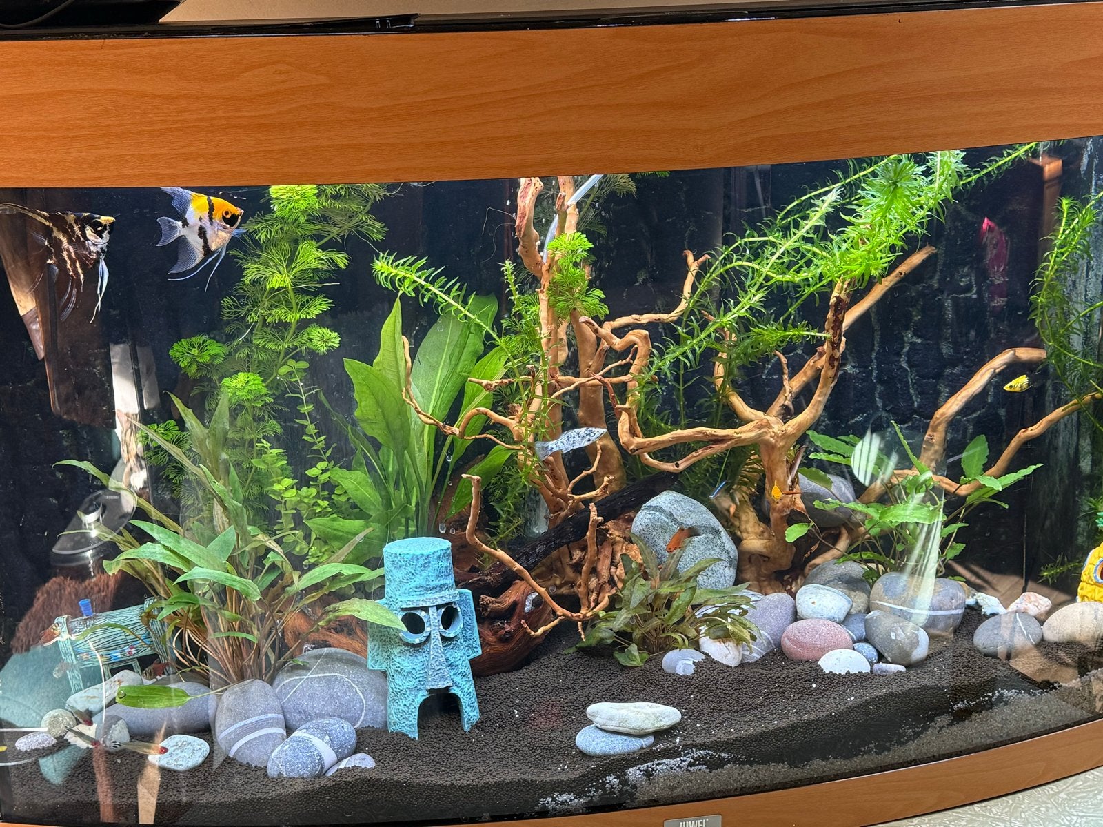 Juwel 180 aquarium, Ophalen, Verwarming, Gebruikt, Leeg aquarium