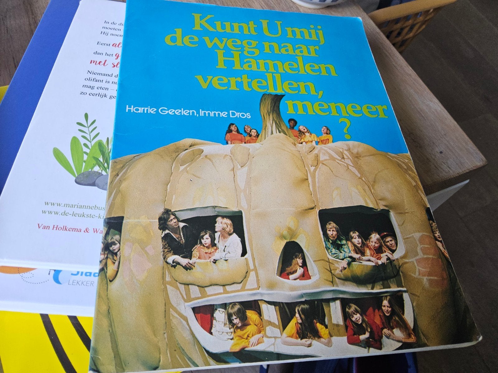Kunt u mij de weg naar Hamelen vertellen meneer?, Gelezen, Fictie algemeen, Ophalen of Verzenden, Harrie Geelen, Imme Dros