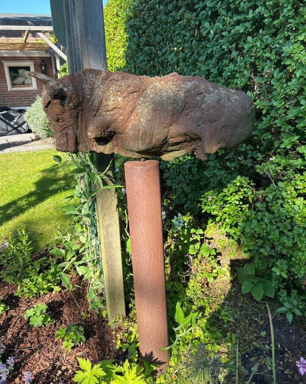Robuuste stier voor de tuin - uniek kunst object, Ophalen, Weerbestendig, 50 - 100 cm, Zoogdier