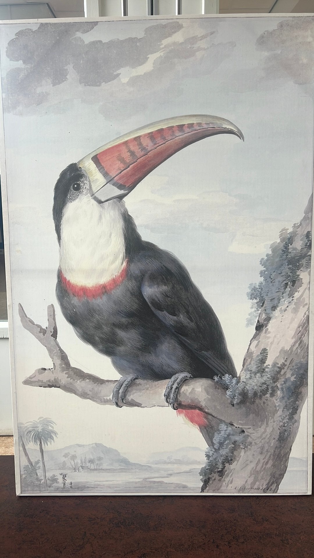 Toekan op Canvas 100x150, Ophalen of Verzenden