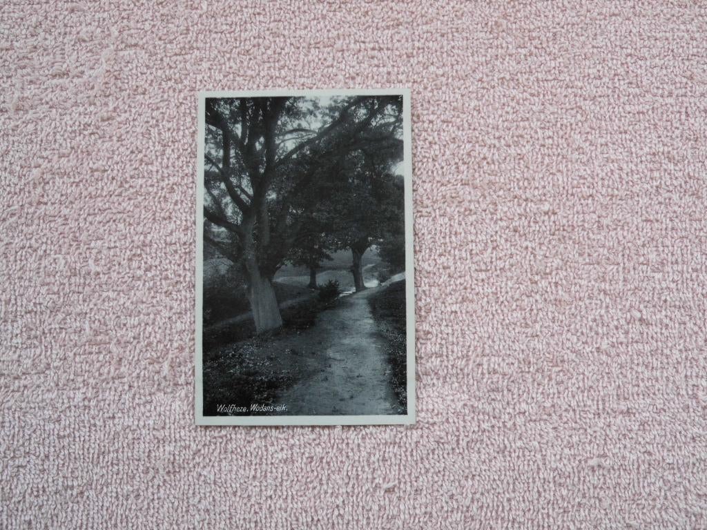 Wolfheze , Wodans eik. uitgave C. v. Silfhout Wolfheze., Ophalen of Verzenden, Voor 1920, Ongelopen, Gelderland