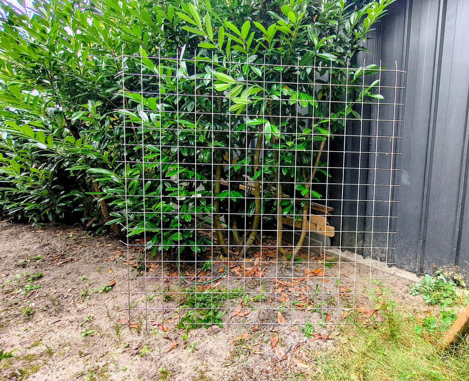 10 stevig metalen schermen voor tuin of omheining, Ophalen, Gebruikt, Minder dan 10 meter, Overige typen